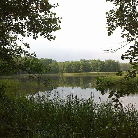 Ferienhaus Knappensee Lohsa Esterno foto