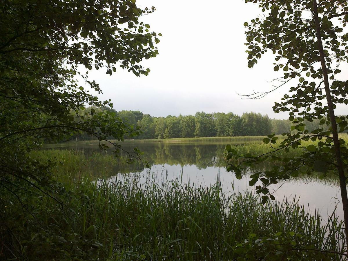 Ferienhaus Knappensee Lohsa Esterno foto